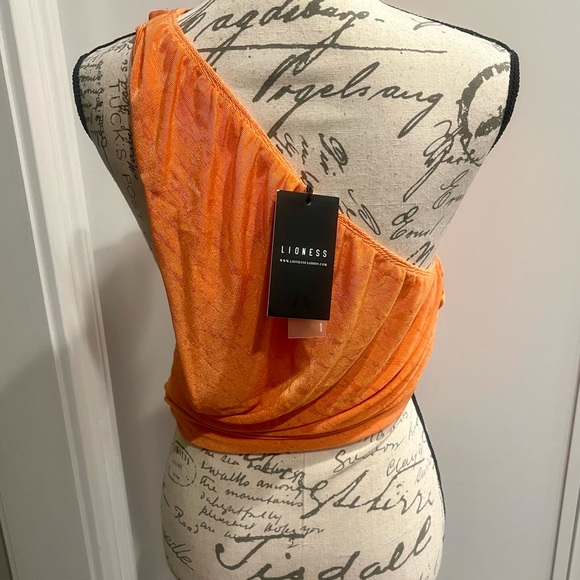 Princess Poly Lioness Brand New - Picture 4 of 15